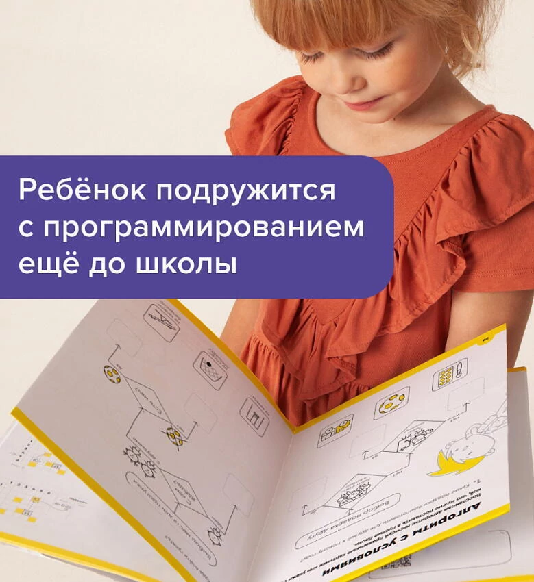 картинка Логика и программирование от магазина Одежда+